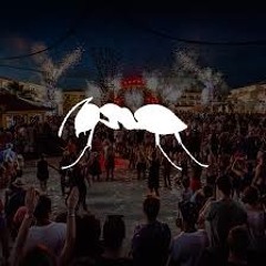 Auri Ibiza Special 2018