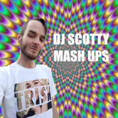 Never Stop Megamash - Various Artist's (Taylor S, Jessie J, Kelis, Destiny's Child & More)