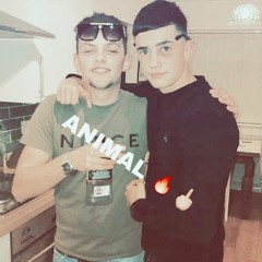 BASSLINE