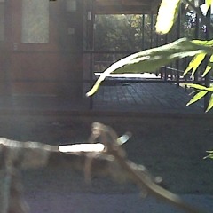 What I Really Felt And Believed