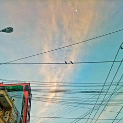 Hai Chiếc Giường demo beat chill