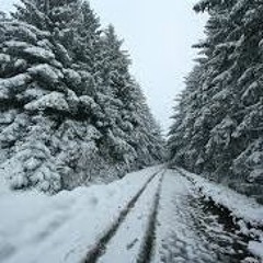 First Cut - Kick It Back