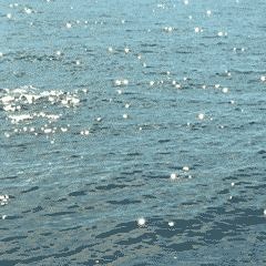 playboi carti // ian connor