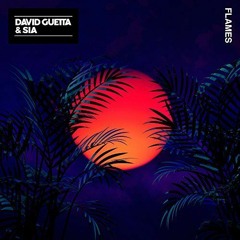 David Guetta & Sia - Flames (Goja & Rudeejay Bootleg)