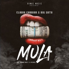 Mula - Big Soto X Eladio Carrion 👄