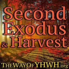 The 2nd Exodus & The Harvest (Transformation) [Error in the Christian Doctrine] {2nd Part}