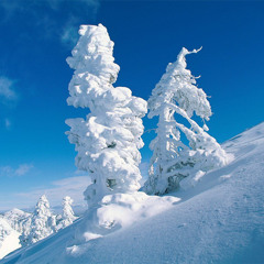 O Come O Come Emmanuel (ft. Kirsty Hawkshaw, Coury Palermo & Zoe Johnston)