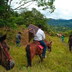 Canciones de Vaqueria. Los Llanos, Colombia. July 2018