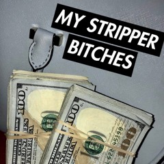 My Stripper B*tches