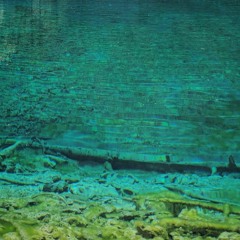 swimmin'