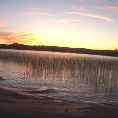 Ms. Celie's Blues (Sister) - From the movie The Color Purple - Erez and Y Josephine