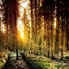 [FREE]Prod Lofi/ChillHop - What If We Live In A Wonderful World (prod by Prot0_Type)