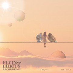 PREMIERE : Timujin - Why Not? (Original Mix)[Flying Circus]