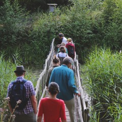 A Summer Listening Walk around Fingringhoe Wick Nature Reserve