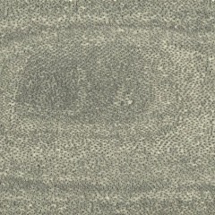 En T r a n c e  No.II  with Lato A - Luteal Phase