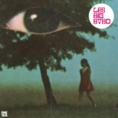 Les Big Byrd - "I Fucked Up I Was A Child"