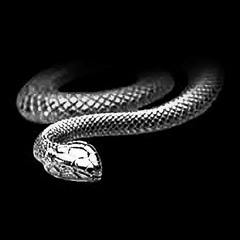 Silver Snake (prod. New Skin)