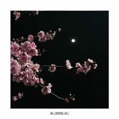 Sentiments Ft. Bxd Dxy