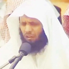 تلاوة هادئة بجودة عالية للشيخ منصور السالمي بجامع اللحيدان  - HOLY QURAN : Mansour Elsalimy