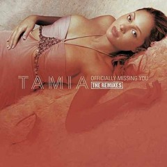 Officially Missing You (Remix) - Tamia ft. Talib Kweli