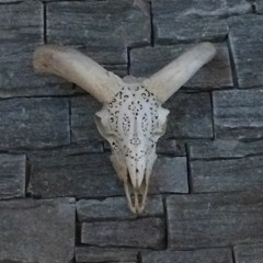 International Low (International Love - Pitbull feat. Chris Brown Cover)