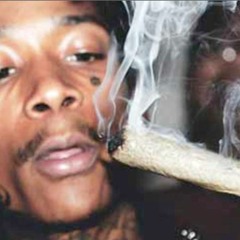 Elevations -SouljaPain