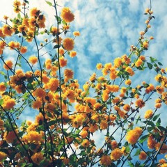 NOWAYANYWAY/Wednesday Mix/03