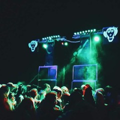 Vinyl Set Old School Tribe To Acid (2016)