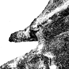 Bart De Paepe | Laatste Stuyver | Het Wase Atlantis > Schelpdieren