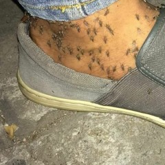 12. Fuckallthevoices