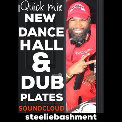 DUBPLATE AND NEW DANCEHALL QUICK MIX CLEAN