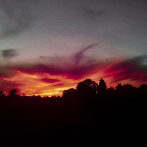 Check out my soul