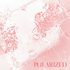 POLARIZED