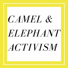 S1E19 Camel And Elephant Activism