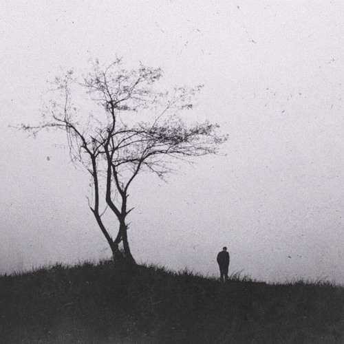 Social Experiment_mixtape 1