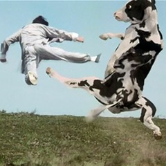MILK STEAK (ft. Milkman Magilicudi)[Doja Cat - Mooo Remix]