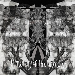 In Memory Of The Unknown