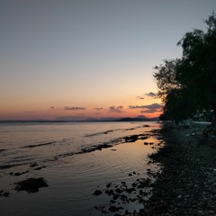 Evening Crickets And Gentle Waves  - Amarynthos, Evia Island, Greece