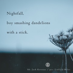 haiku #241: Nightfall, / boy smashing dandelions / with a stick.