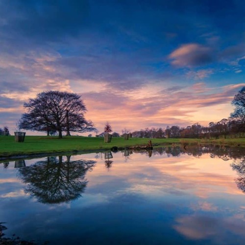 VISION OF NATURE (J David Ojeda)