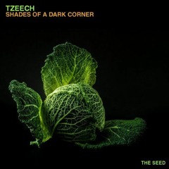 Tzeech - Shades Of A Dark Corner (counterintuitive Remix)