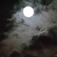 DER / Zalkša Līgava / Saimes galds Vladits edit