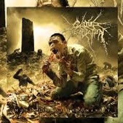 Kingdom Of Tyrants Cover Cattle Decapitation