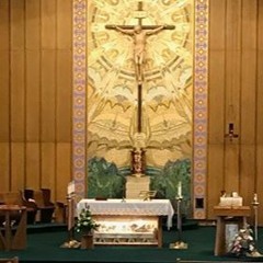Fr. Anthony on indulgences