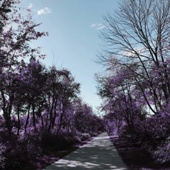 18 / Wrong Choices (Prod. By Flip)