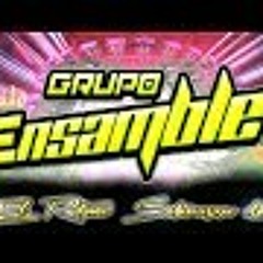 Grupo Ensamble Limpia - Exito 2018