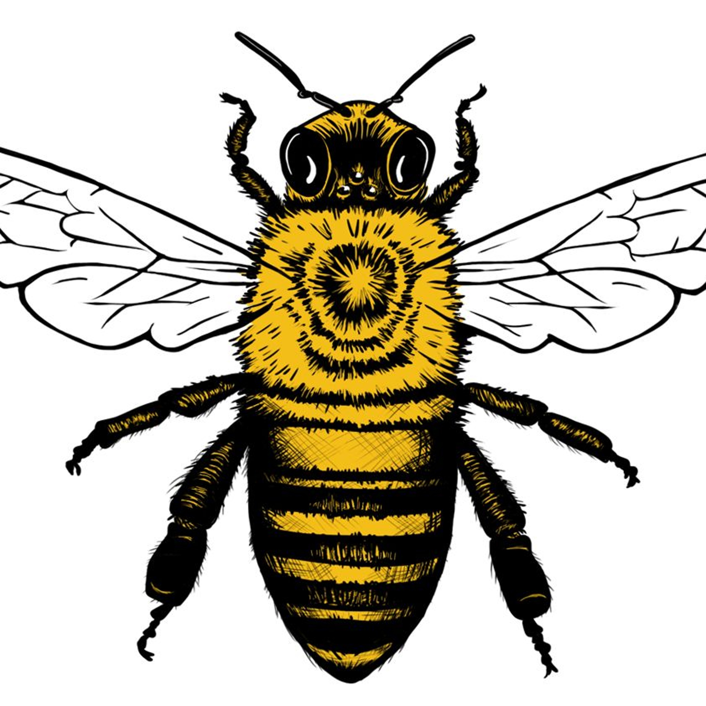 The Bee Keeper - Part 1 episode artwork