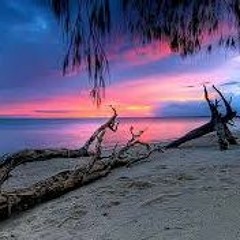 Charraska Trinbal Dj Reibernarvaez2018