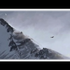 الحب لمن خلق الحب وسواه - الملا باسم الكربلائي