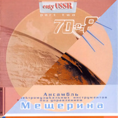 Vyacheslav Mescherin Orchestra - Penguin's Dance